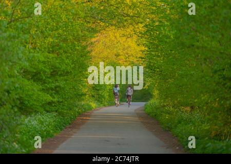 Due ciclisti in primavera, Germania, Amburgo, Hummelsbuettler Feldmark Foto Stock