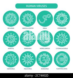 Set di icone dei tipi di virus umani. Raccolta di simboli di microrganismi infettivi in stile linea. Illustrazione vettoriale. Illustrazione Vettoriale