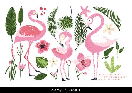 Set di animali vettoriali Flamingo. Illustrazione Vettoriale