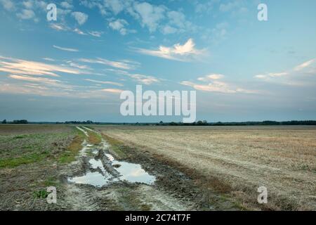 Puddle dopo la pioggia su una strada sterrata, campi rurali e cielo di sera Foto Stock