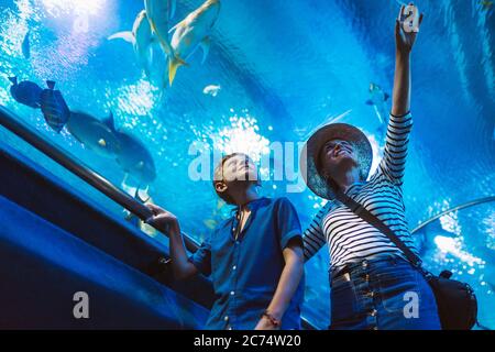 Madre e figlio camminano nell'enorme tunnel dell'acquario interno, godendo gli abitanti del mare sottomarino, mostrando interesse l'uno all'altro. Foto Stock