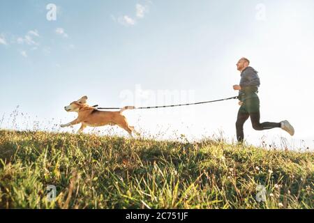 Esercizi di Canicross. L'uomo corre con il suo cane beagle. Attività sportive all'aperto con animali domestici Foto Stock