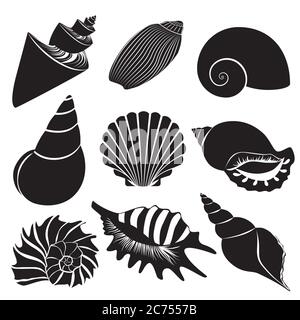 Conchiglie vettoriali. Silhouette Seashell set Collection Illustrazione Vettoriale