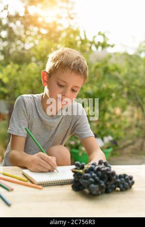 Il ragazzo carino disegna con matite ancora vita. Aria aperta. Giardino sullo sfondo. Concetto creativo. Foto Stock