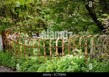 Vista della corsia di campagna con le ringhiere di Cheshire, Chipping, Preston, Lancashire, UK Foto Stock