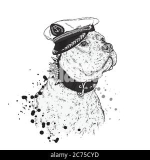 Un bel cane in cappellino, occhiali e cravatta del capitano. Illustrazione vettoriale per una cartolina o un poster, stampa su abiti. Cucciolo di purebred. Husky o lupo. Illustrazione Vettoriale