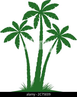 Palme verdi, silhouette vettoriale, isolate su sfondo bianco. Grafico vettoriale. Semplicemente pittogramma. Elemento floreale. Illustrazione Vettoriale