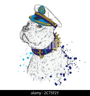 Un bel cane in cappellino, occhiali e cravatta del capitano. Illustrazione vettoriale per una cartolina o un poster, stampa su abiti. Cucciolo di purebred. Husky o lupo. Illustrazione Vettoriale