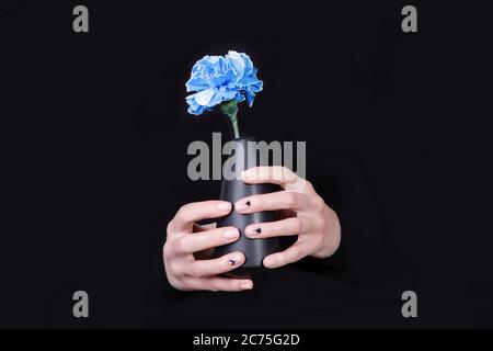 Mani femminili che tengono vaso nero con fiore di garofano blu su sfondo nero. Manicure naturale con disegno triangolare, manicure geometrie. Copia Foto Stock