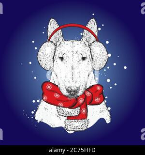 Simpatico cucciolo in cuffie e occhiali invernali. Bel cane purosangue. Spagnolo. Capodanno e Natale, inverno. Illustrazione Vettoriale