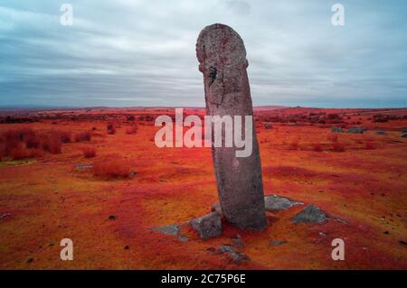 Long Tom Standing Stone, Bodmin Moor, Cornovaglia UK Foto Stock