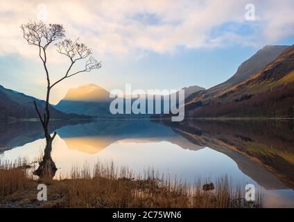 Il famoso lone tree in testa Buttermere nel distretto del lago, catturata come il sole illumina le montagne si riflette nelle acque ancora. Foto Stock