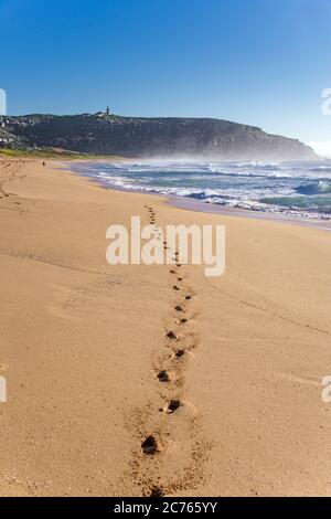 Stampe a piedi nella sabbia Palm Beach Sydney NSW Australia Foto Stock