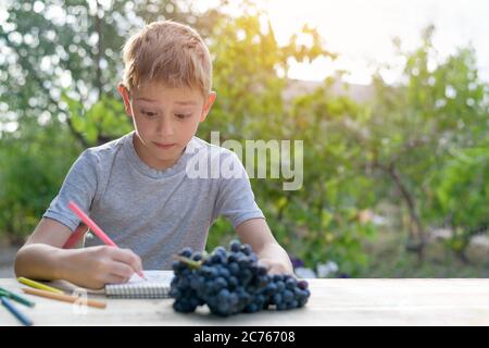 Il ragazzo carino disegna con matite ancora vita. Aria aperta. Giardino sullo sfondo. Concetto creativo. Foto Stock