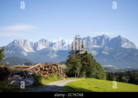 Catasta di tronchi d'albero e vista a distanza della catena montuosa Wilder Kaiser vicino a Kitzbuehel, Tirolo, Austria, Europa Foto Stock