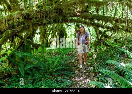 WA17472-00....WASHINGTON - escursione in Vicky Spring lungo il Hoh River Trail nel Parco Nazionale Olimpico. Foto Stock