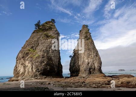 WA17482-00...WASHINGTON - due stack di mare vicino a Hole-in-the-wall all'estremità nord di Rialto Beach nel Parco Nazionale Olimpico. Foto Stock