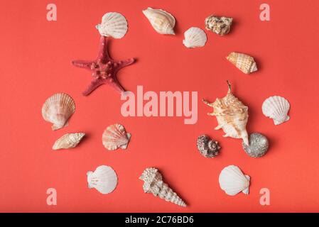Varietà di conchiglie sullo sfondo di coralli viventi. Disposizione piatta. Concetto marino Foto Stock