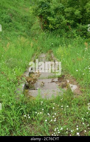 Scale di cemento sul terrapieno con erba. Estate. Foto Stock