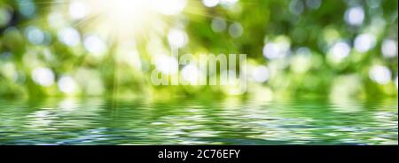 Immagine sfocata di sfondo naturale con acqua, piante e luce bokeh. Bokeh verde astratto. Foto Stock