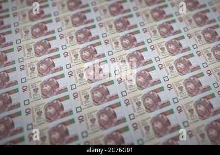 10 bollette polacche stampate su trasportatori di produzione di denaro illegale. Collage di molte fatture false. Concetto di lavoro di massa contraffattori Foto Stock