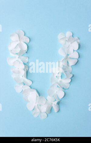 Flower Alphabet - V. lettera fatta con fiori vivi su sfondo azzurro Foto Stock