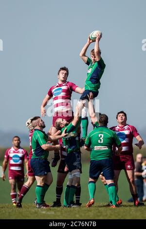 North Dorset RFC giocatore cattura palla in linea fuori. NDRFC 1st XV vs Swanage & Wareham RFC 1st XV, Sabato, 8, Aprile, 2017 - North Dorset RFC - Gillin Foto Stock