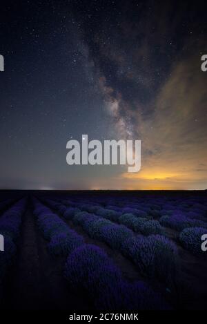 Il nucleo galattico della Via Lattea che si erge sopra un campo di lavanda in Romania durante una notte buia nella Contea di Constanta in Romania Foto Stock