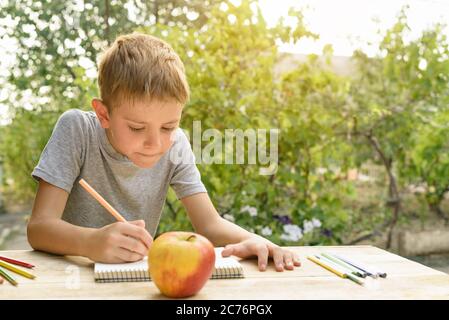 Il ragazzo carino disegna con matite ancora vita. Aria aperta. Giardino sullo sfondo. Concetto creativo. Foto Stock