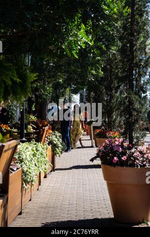 Vista parziale del marciapiede acciottolato circondato da fiori e piante in vasi vicino a Casa Bela - caffè e ristorante in via Doria Vasconcelos. Foto Stock