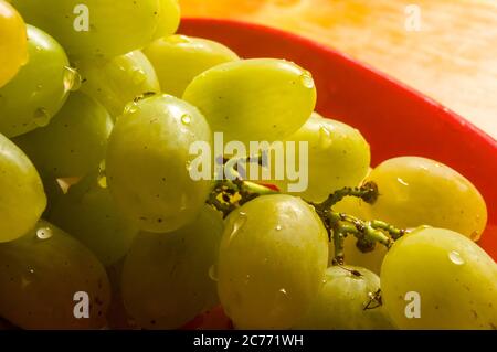 grande spazzola di uva verde in un piatto di ceramica rossa su sfondo ligneo Foto Stock