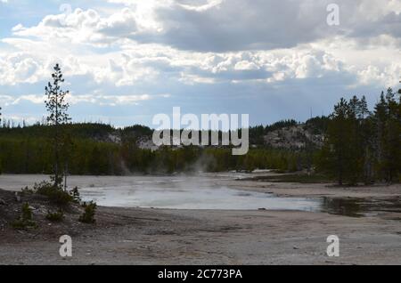 Tarda primavera nel Parco Nazionale di Yellowstone: Vista del Tantalo Geyser da vicino Root Pool nella zona del bacino posteriore del bacino del Norris Geyser Foto Stock