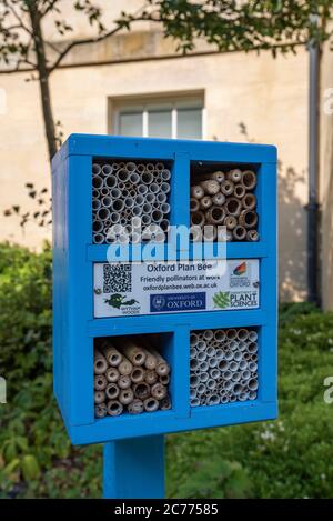 Progetto Plan Bee, Oxford, Regno Unito Foto Stock