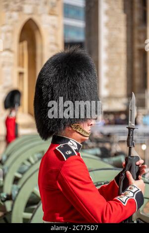 Guardia della Regina alla Torre di Londra, Regno Unito Foto Stock