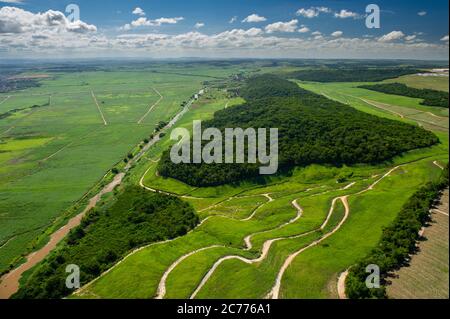 Agricoltura, coltivazione della canna da zucchero e resti della foresta atlantica nella città di Goiana, vicino a Recife, Pernambuco Foto Stock