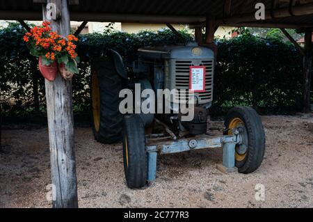 Un trattore diesel a 2 tempi Landini L45 del 1958 restaurato esposto all'interno del Museo storico Holambra, situato in via Alameda Mauricio de Nasau. Foto Stock