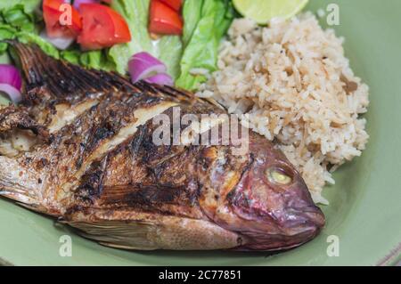 Tilapia rossa fresca, conosciuta come Mojarra in Messico. Spesso servito alla griglia o fritto 'al mojo de ajo', con un aglio e olio infuso di agrumi Foto Stock