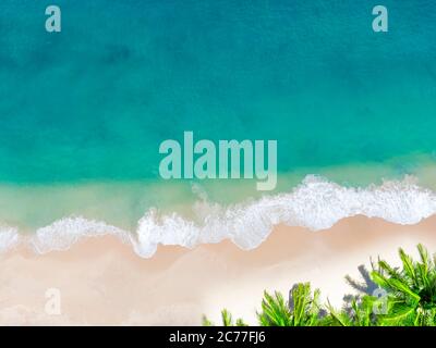 Vista aerea dall'alto bellissima spiaggia d'attualità con palme da cocco e mare di sabbia bianca. Vista dall'alto spiaggia vuota e pulita. Onde che si infrangono spiaggia vuota fr Foto Stock