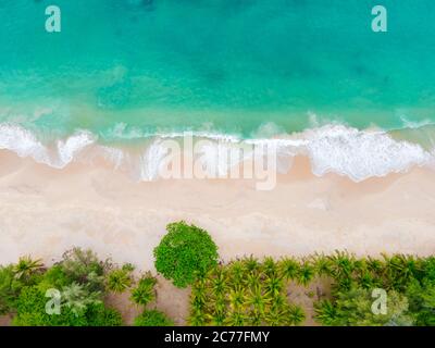 Vista aerea dall'alto bellissima spiaggia d'attualità con palme da cocco e mare di sabbia bianca. Vista dall'alto spiaggia vuota e pulita. Onde che si infrangono spiaggia vuota fr Foto Stock