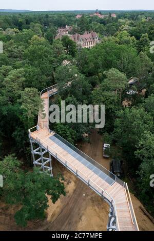 10 luglio 2020, Brandeburgo, Beelitz: Sulla zona degli ex sanatori polmonari a Beelitz-Heilstätten è il sentiero lungo 320 metri 'albero e tempo'. Questa è una sezione di nuova costruzione che non è ancora stata aperta. Dalla costruzione in acciaio e legno sopra le cime degli alberi, i visitatori possono vedere gli edifici elencati e il parco. Il sentiero attraversa anche le rovine dell''Alpenhaus', che fu distrutta da un incendio nel 1945. Qui si possono vedere i resti della costruzione del tetto e gli alberi che crescono sul tetto dell'edificio da oltre 60 anni. Foto: Jens Kalaene/dpa-Zentralbild/dpa Foto Stock