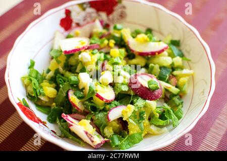 Insalata di primavera con ravanelli, uova, cipolla verde e germogli. Foto Stock