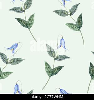 Fiore verde campanula blu, dipinto a mano, disegno senza cuciture su sfondo morbido Foto Stock