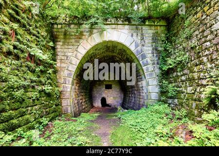 Il vecchio tunnel abbandonati nella cantina sotterranea. Foto Stock