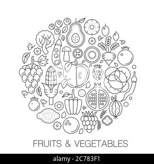 Frutta verdura in cerchio - illustrazione della linea di concetto per copertina, emblema, badge. Frutta verdura sottile linea Stroke icone. Illustrazione Vettoriale