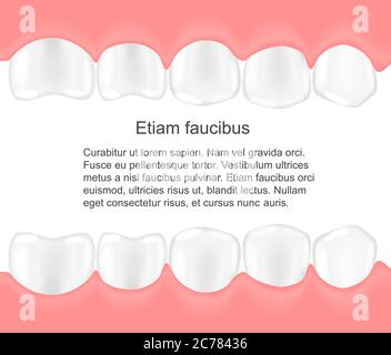 Infografiche dei denti umani nella bocca. Concetto di cura dentale Illustrazione Vettoriale