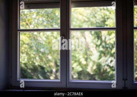 Vista all'esterno di una finestra con alberi Foto Stock