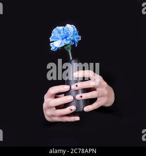 Mani femminili che tengono vaso nero con fiore di garofano blu su sfondo nero. Manicure naturale con disegno triangolare, manicure geometrie. Copia Foto Stock