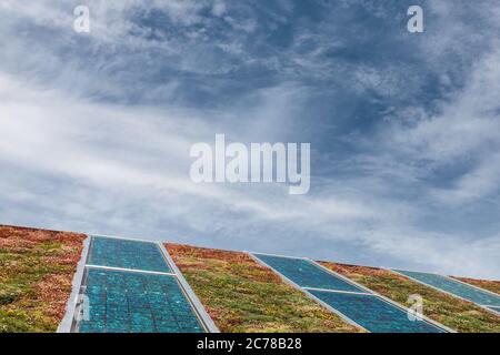 Pannelli solari su un nuovo tetto coperto di sedum verde e rosso per isolamento e riscaldamento Foto Stock