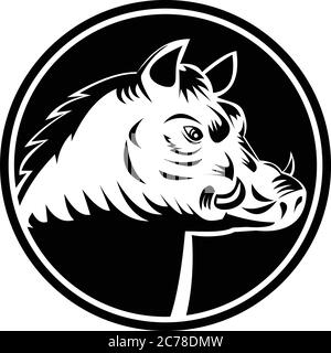 Retro woodcut illustrazione stile testa di un Razorback, maiale selvatico o feriale, un tipo di maiale domestico feriale, cinghiale o ibrido in Nord America insieme Illustrazione Vettoriale