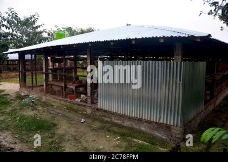 Un capannone di allevamento avicolo a basso costo fatto di fogli di stagno in India, Bengala occidentale, focalizzazione selettiva Foto Stock